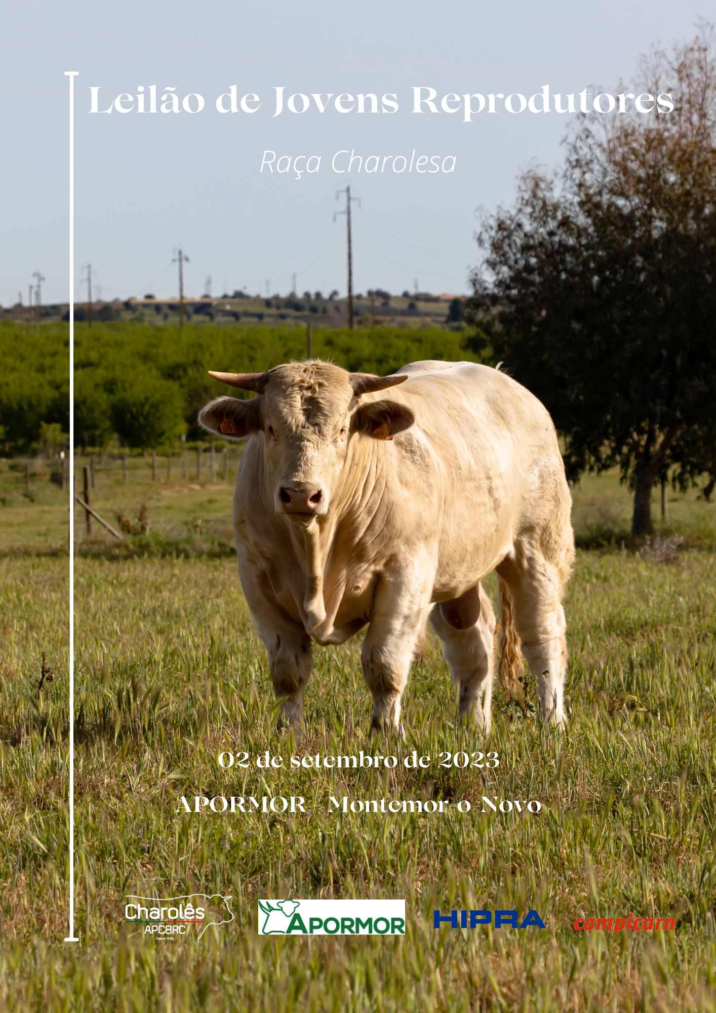 Minimalist Portfolio Cover Page (1).png (4.13 MB)