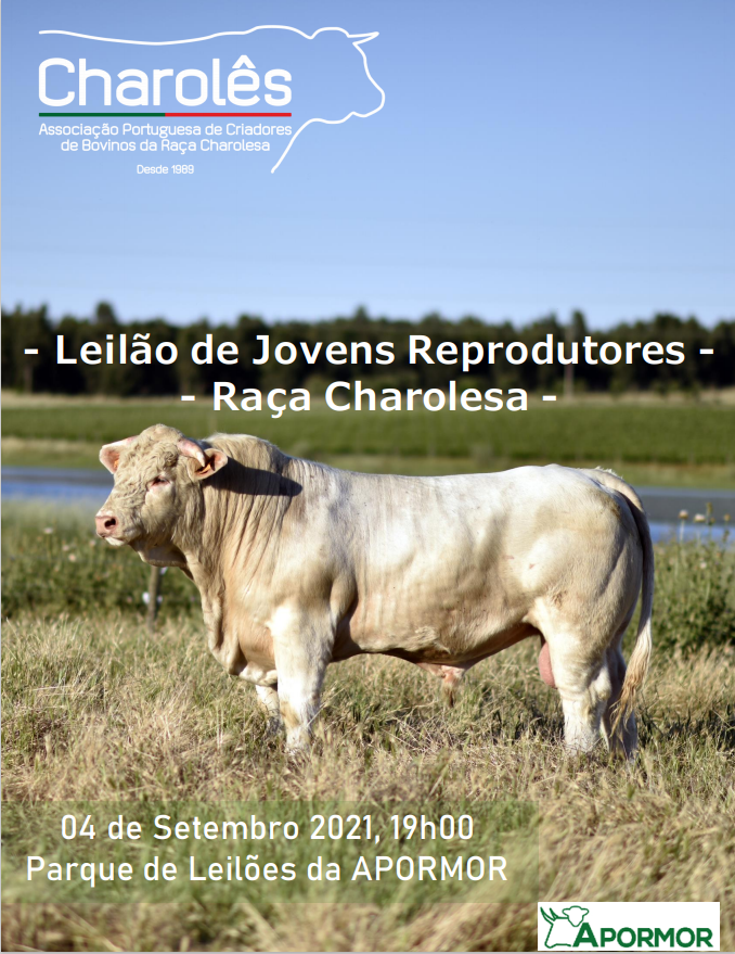 capa leil�o.PNG (1.10 MB)