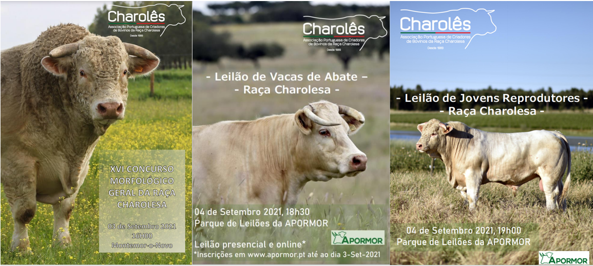 eventos_montemor_2021.png (1.05 MB)