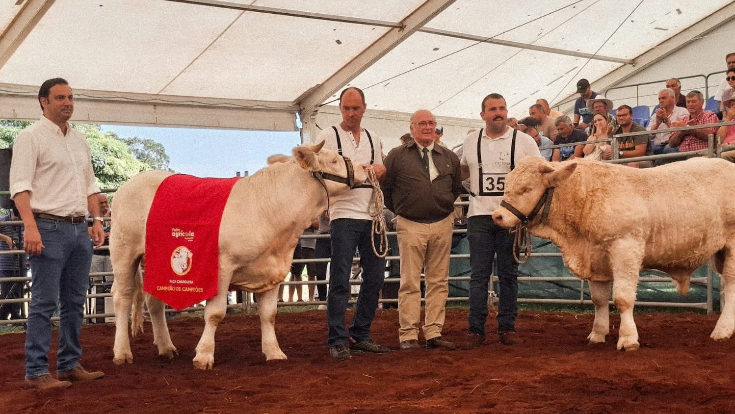 Imagem WhatsApp 2025-06-28 às 16.35.32_47933949.jpg (224 KB)